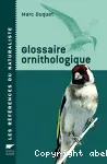 Glossaire ornithologique vignette