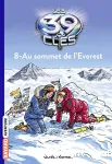Au sommet de l'Everest vignette