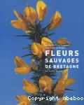 Fleurs sauvages de Bretagne vignette